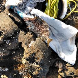 フカセ‥最高ですネ・・西風強・・