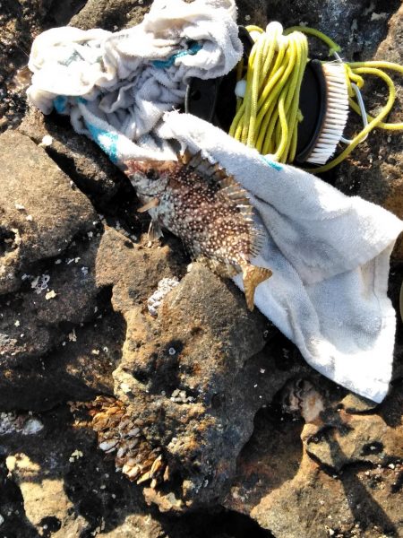 フカセ‥最高ですネ・・西風強・・