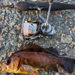 デイメバリング