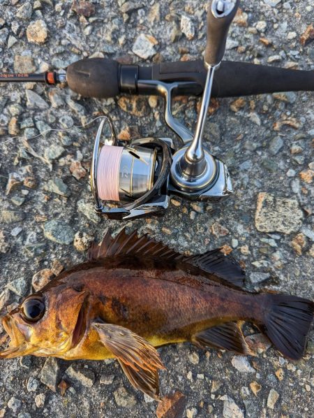 デイメバリング