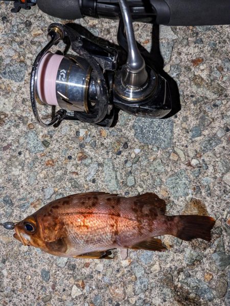 ナイトメバリング