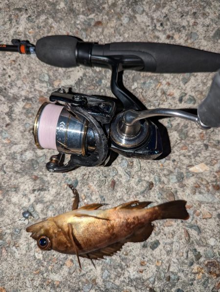 ナイトメバリング