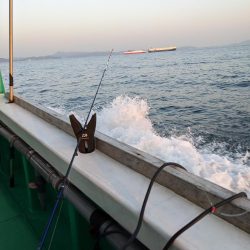 クログチ釣り（泉州丸）