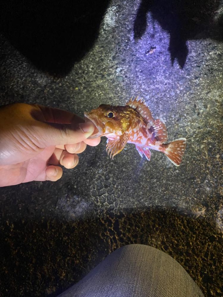 ガシリング① 北京都釣行