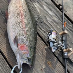 釣堀海恵のサーモンコーナー