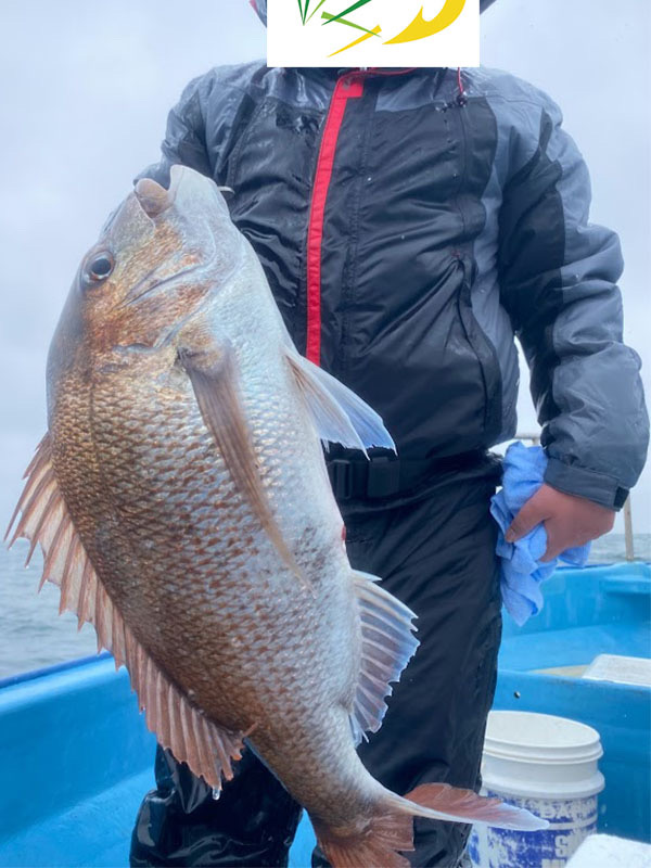 3月26日(日)タイラバ、ライトジギングの釣果