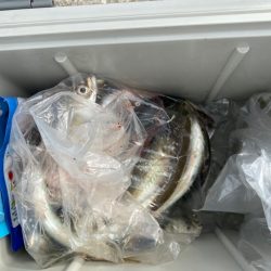 まだまだ続くよ!