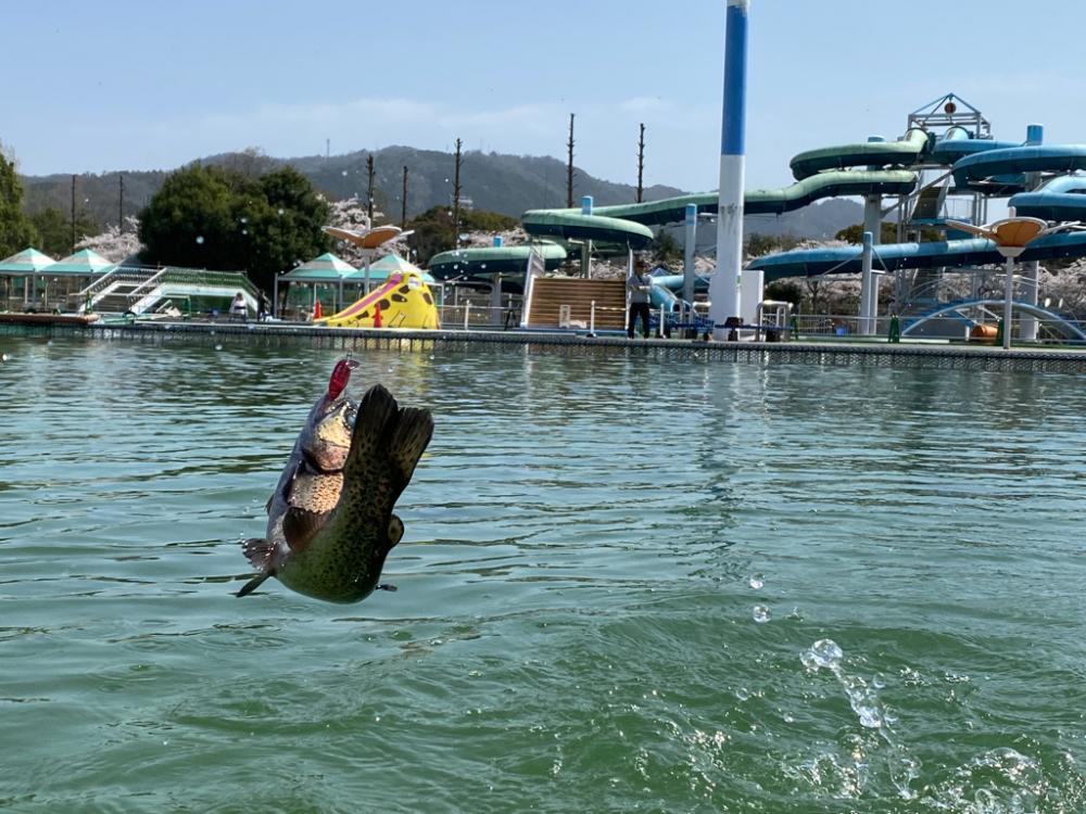 かめプー　ドッカン祭りの放流日