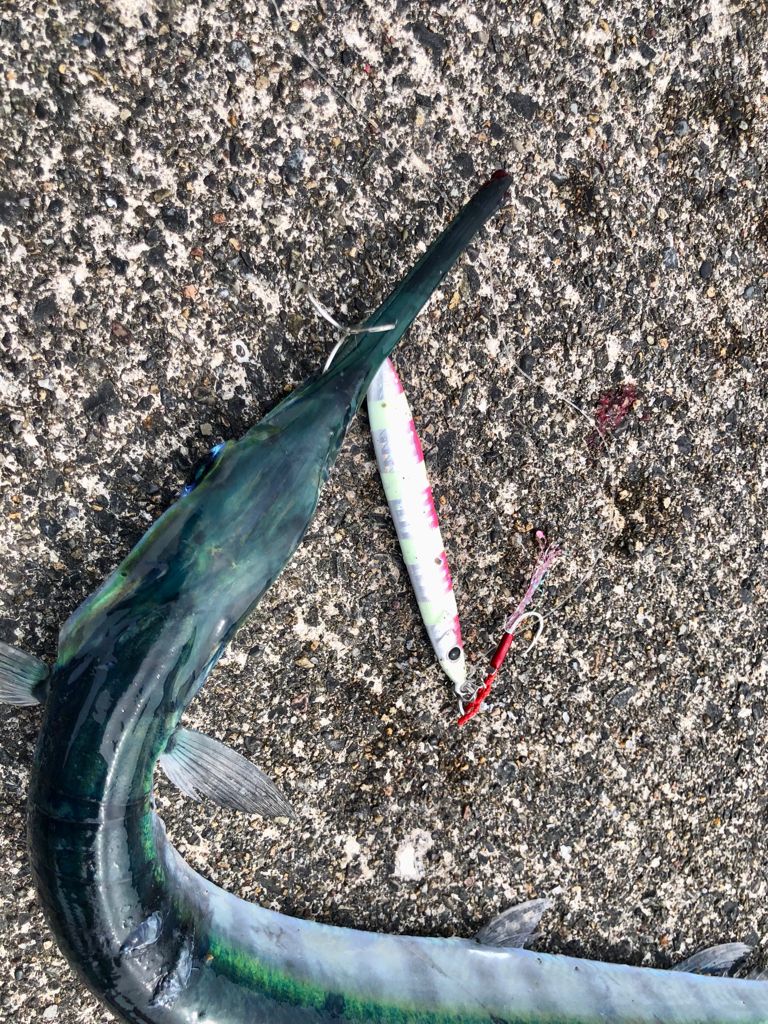 奄美釣り旅2日目