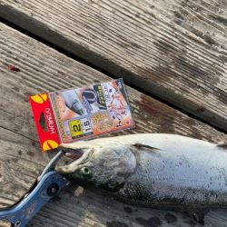 釣堀水宝に行って来ました!