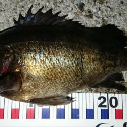 自己新記録達成！