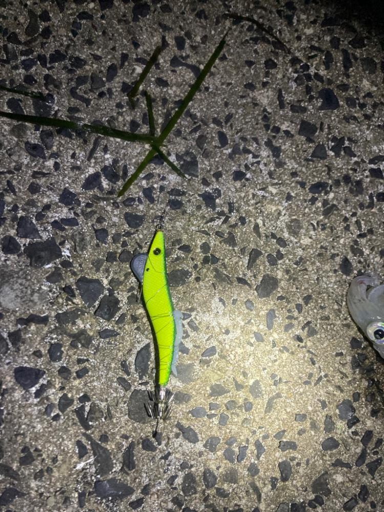 爆風でもなんとか4杯