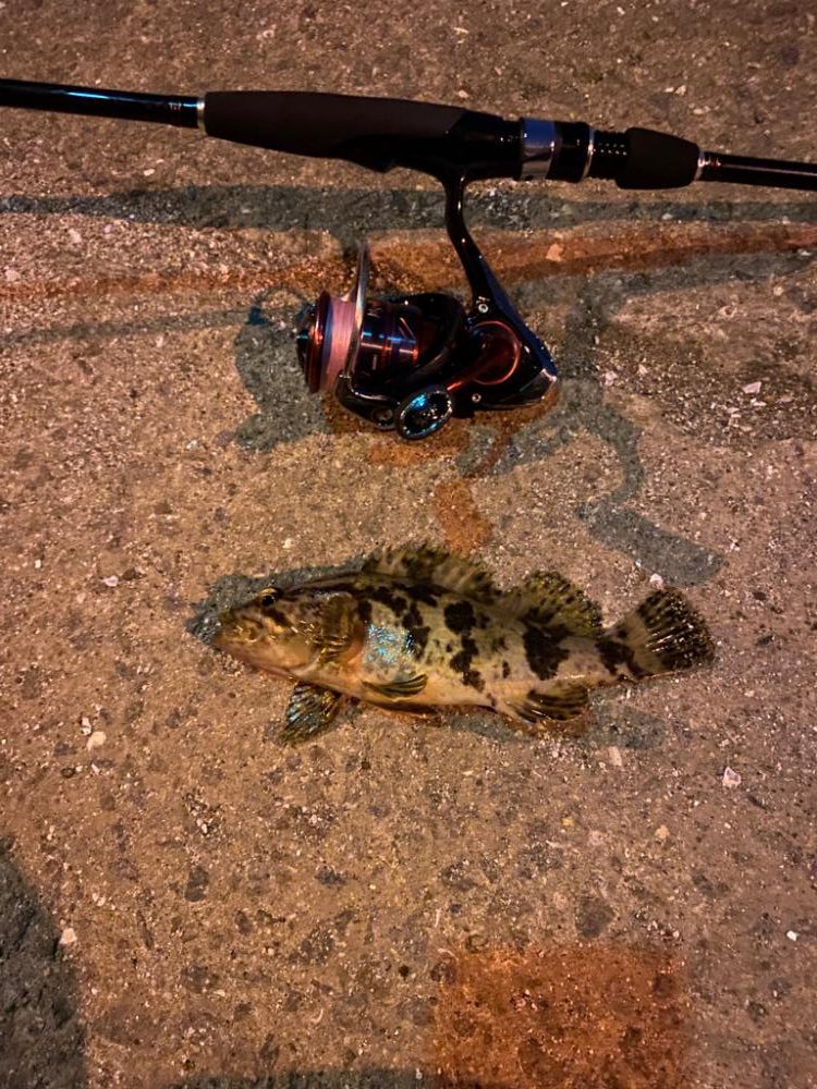 メバリングby小雨