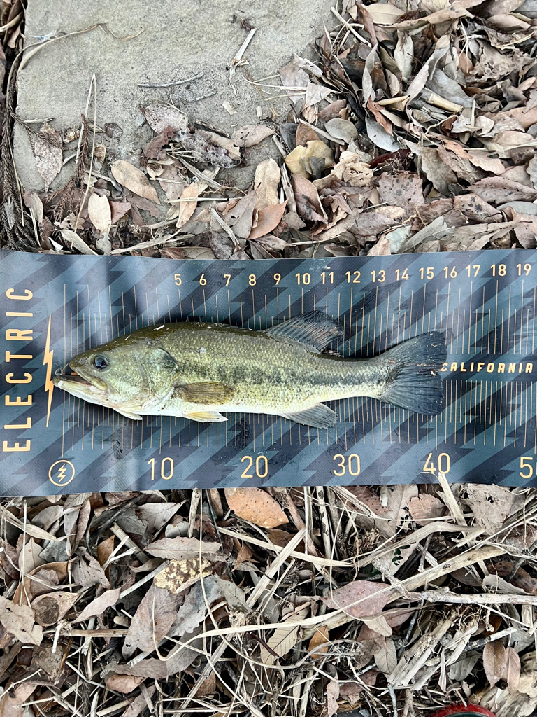 春がすぐそこまで来ている予感