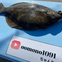 淡路島の春カレイ