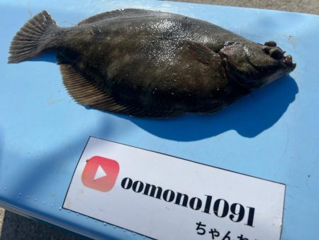 淡路島の春カレイ