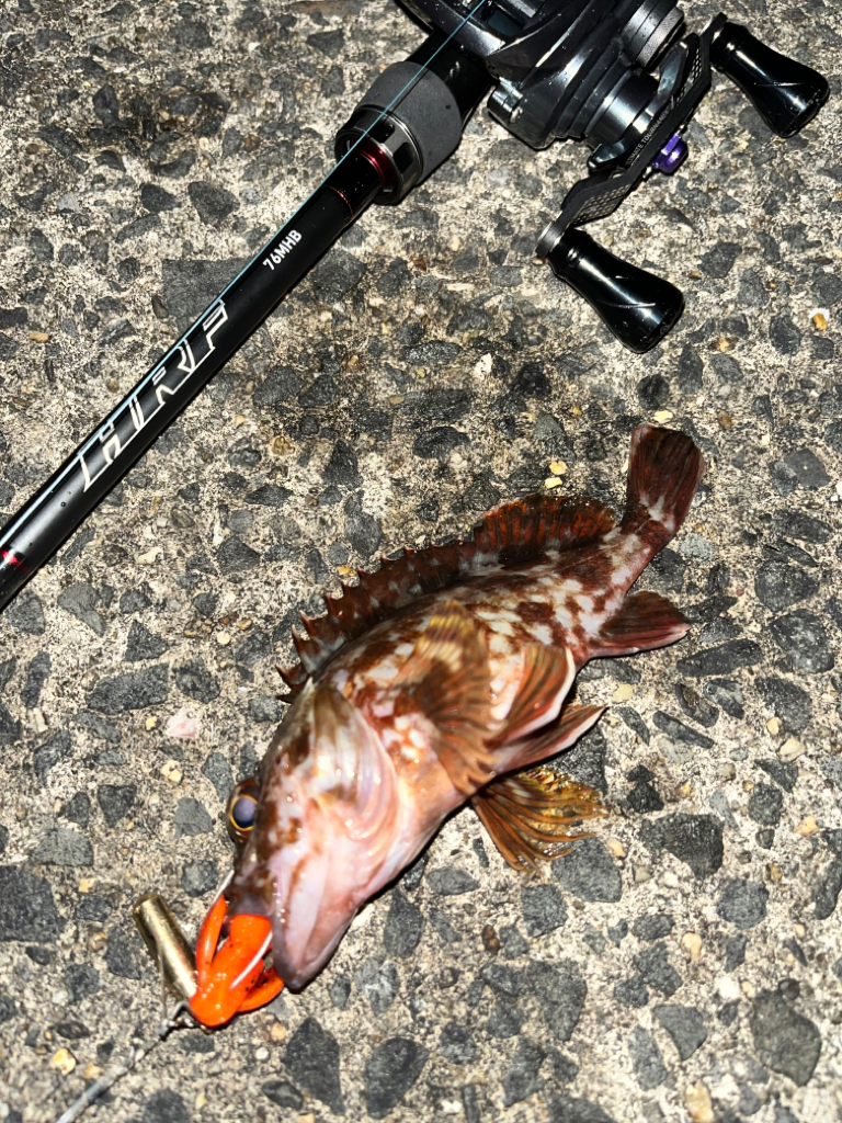 ロックフィッシュ