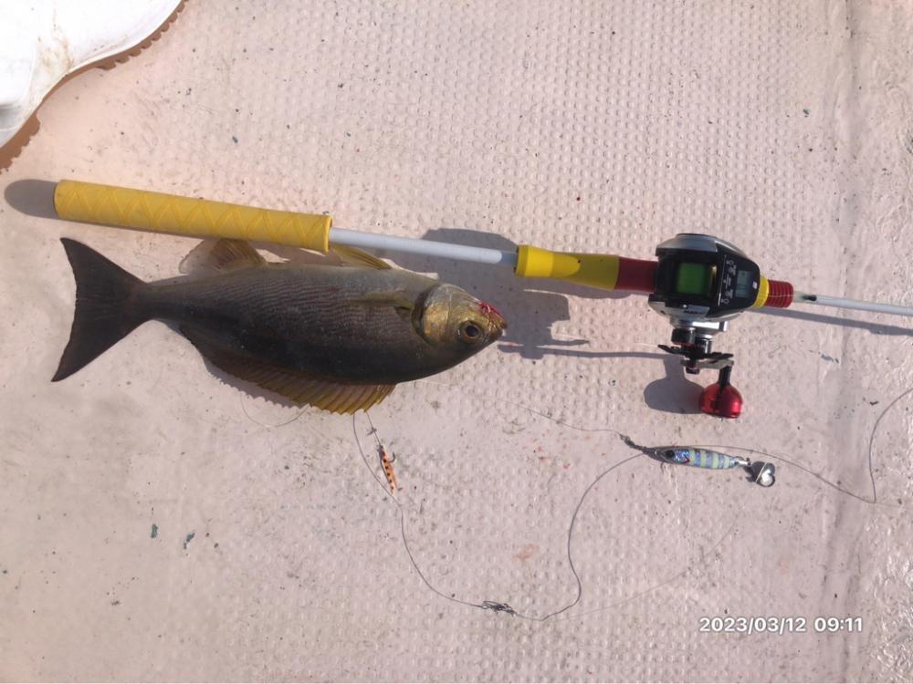 3/12 伊島沖ジギング&ジグサビキ