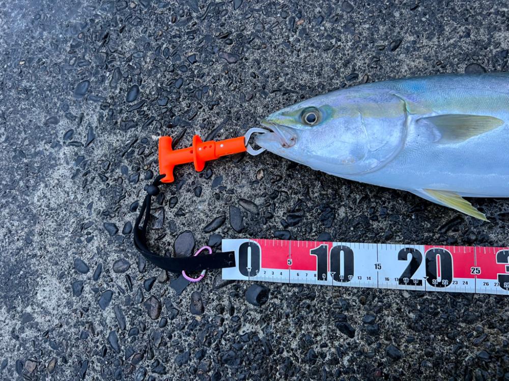 万次郎でビッグスプラッシュ!