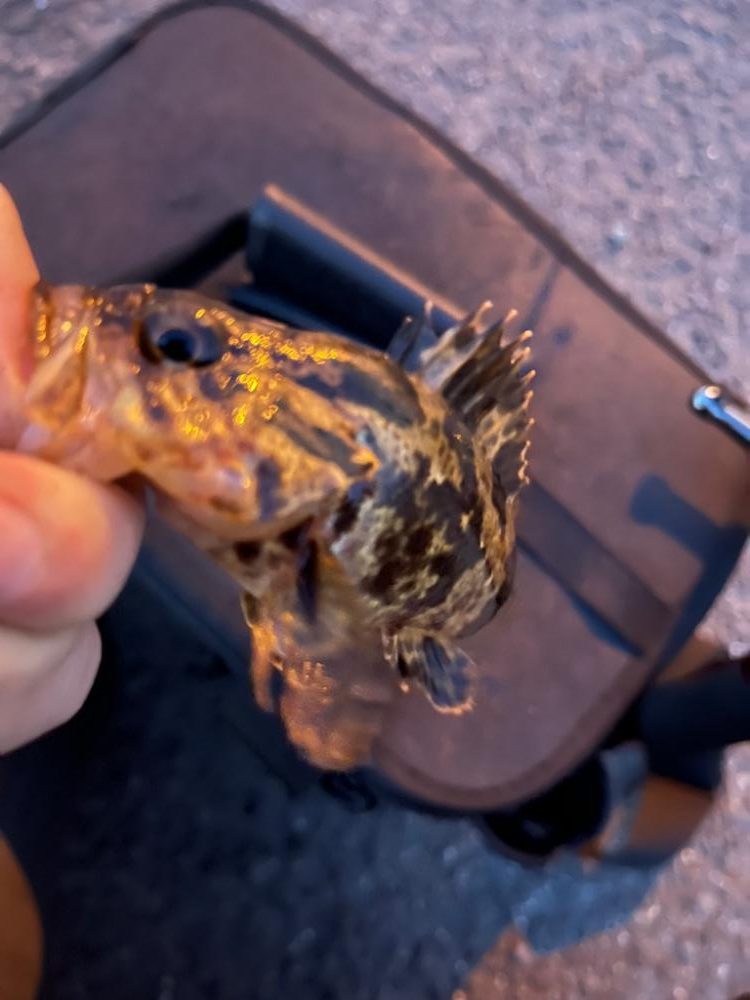 春が近づく四日市