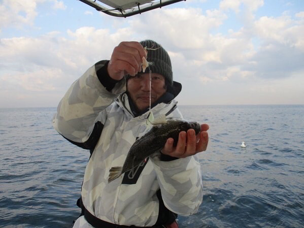 播磨カットウ釣り