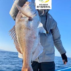 3/30ルアー真鯛釣りは大鯛デー