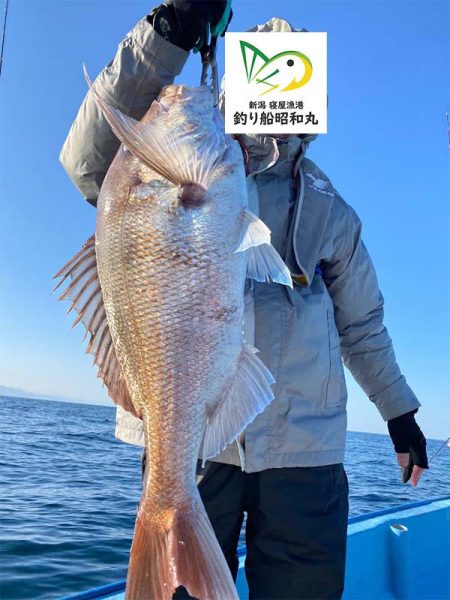 3/30ルアー真鯛釣りは大鯛デー