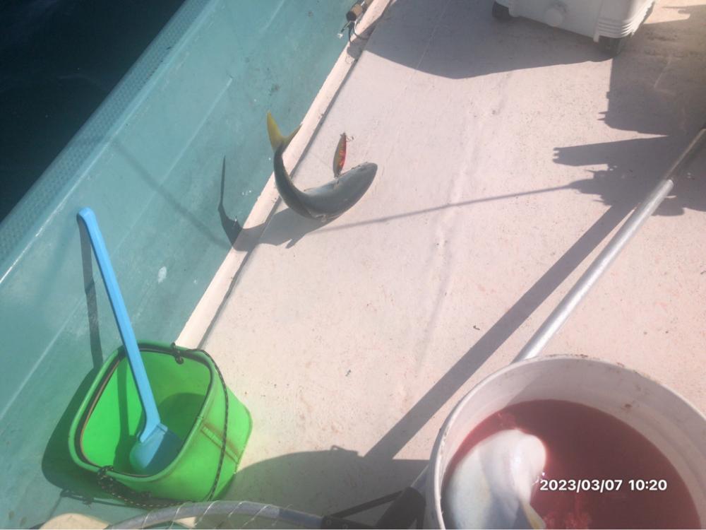 3/7 伊島沖ジギング&タイラバ