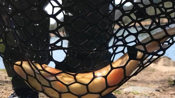 トラウトスレスレ？！