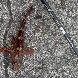 ガシラはズッ友