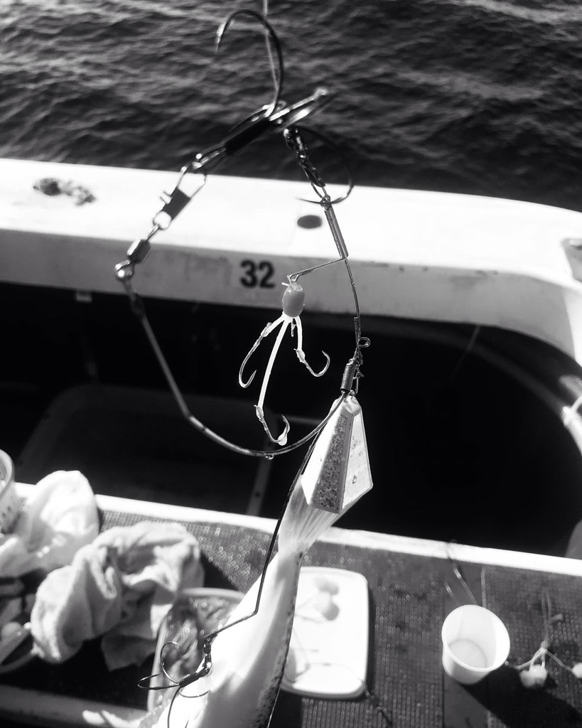 神戸沖カットウ釣り