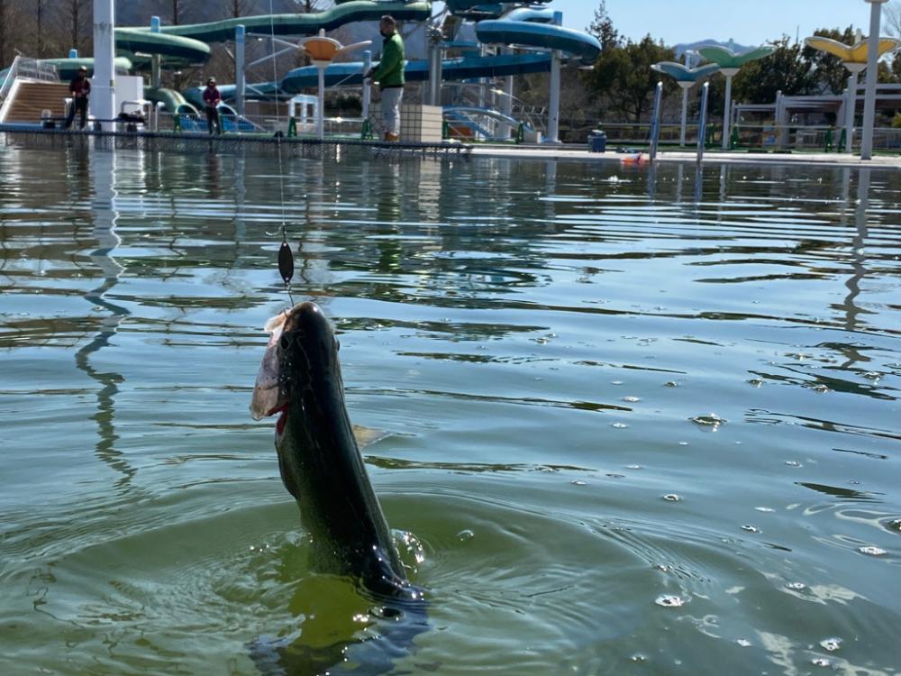 亀岡　かめプー　かめぷー