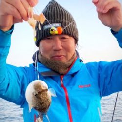 産卵モード？室津カットウフグ