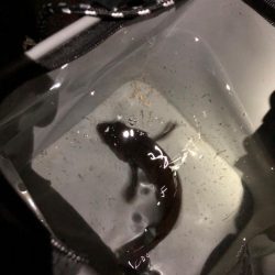 3連続坊主からの脱出