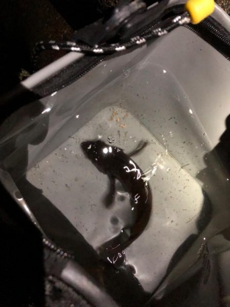 3連続坊主からの脱出