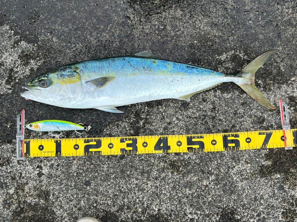 久しぶりのグランバイツでヒットw