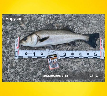 ウキがゆっくり沈み込む