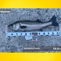 連続のアタリに良い魚の活性