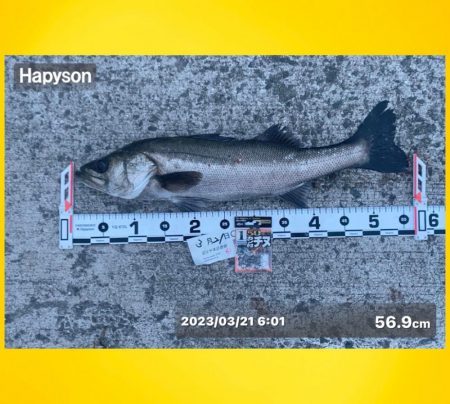 連続のアタリに良い魚の活性