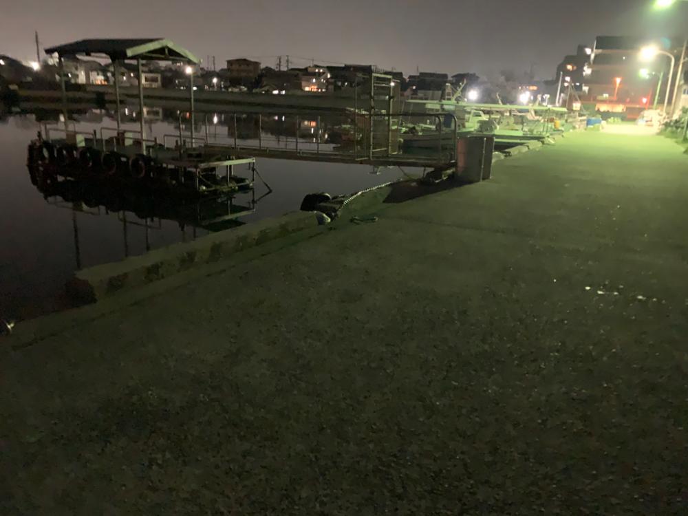 ガッシー③ メバル23