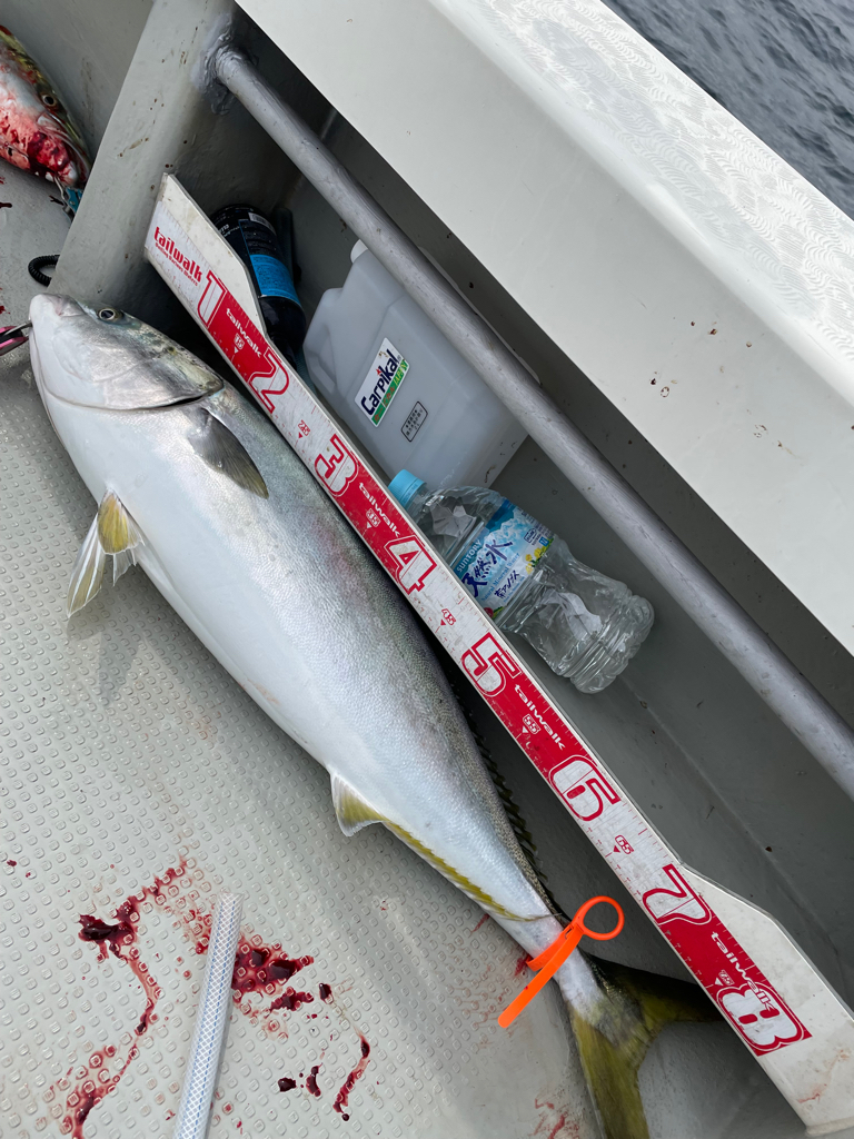 丹後ジギング2日目