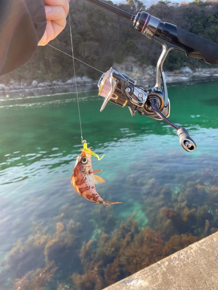 久々に海へアジング