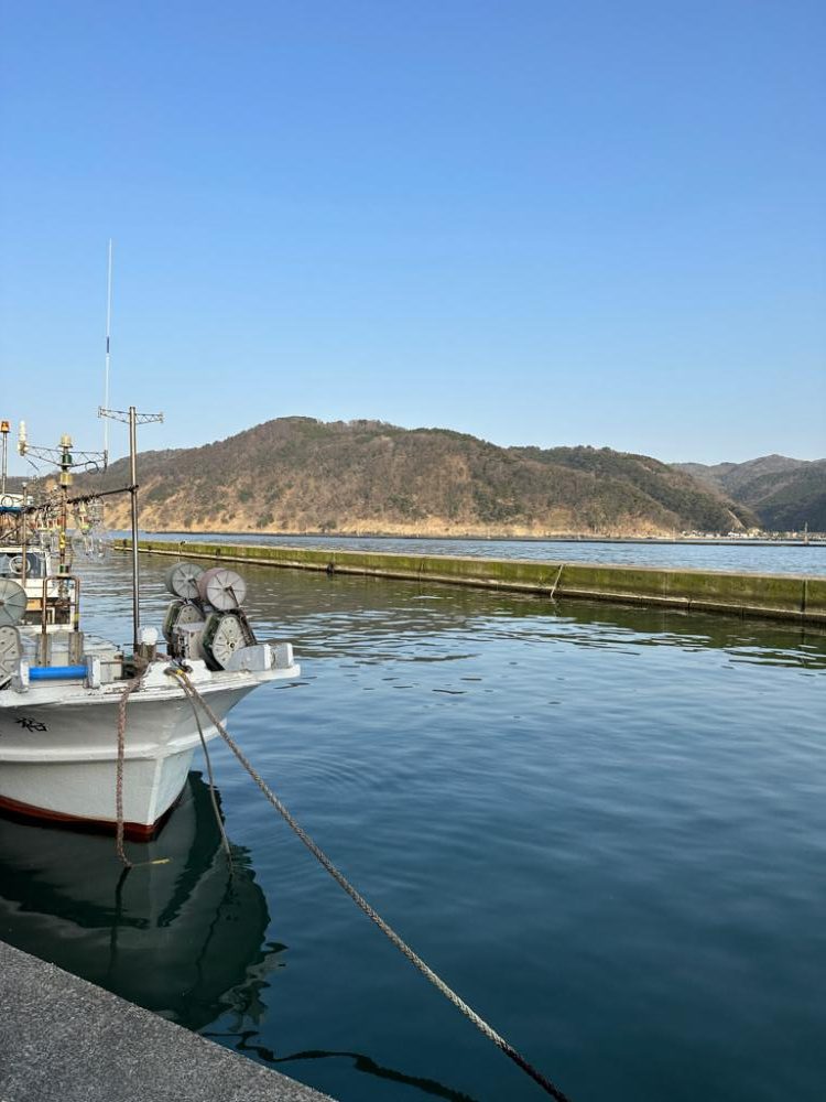 またまたアジング