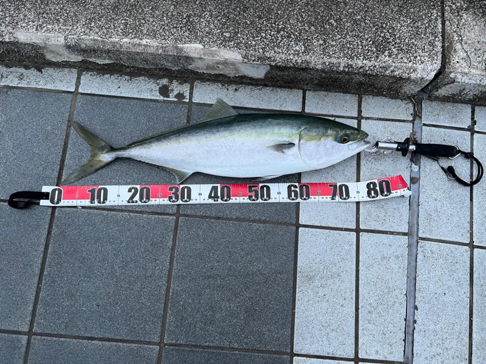 まさかの・・・