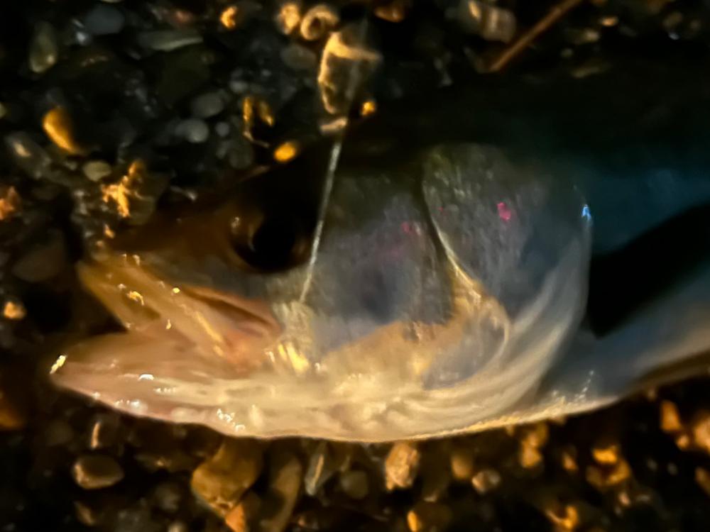 渋いっ😭(＞人＜;)、