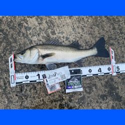 久しぶりの雨からのスタート