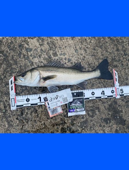 久しぶりの雨からのスタート