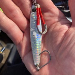 サゴシ!2023ライトゲーム第7戦