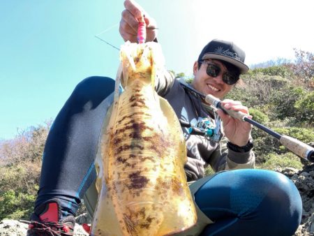 アオリイカ1.3キロオーバー