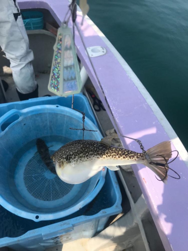 室津カットウ釣り